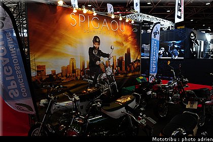 0129_spigaou.JPG