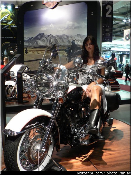 milan_eicma_2010_0075
