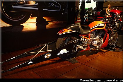 milan_eicma_2010_0002.JPG