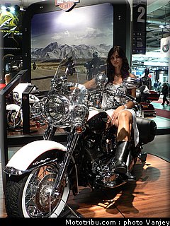 milan_eicma_2010_0075.JPG