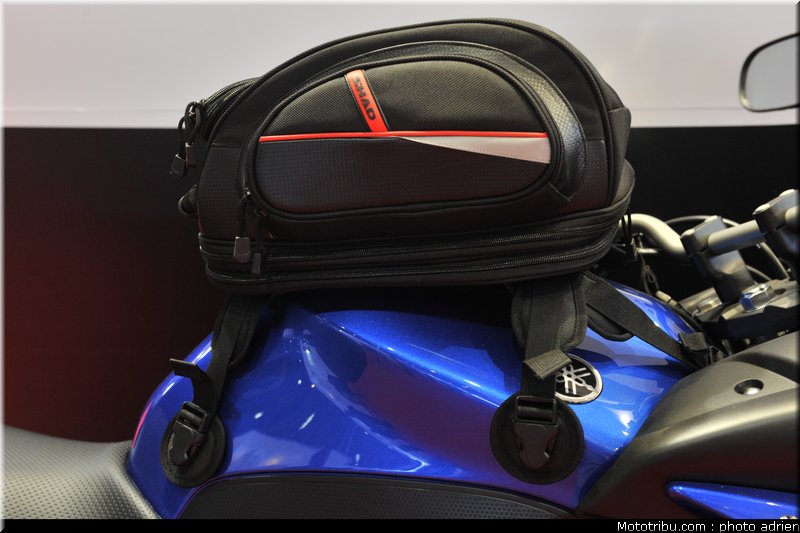 shad_3_jpms_2010_0189
