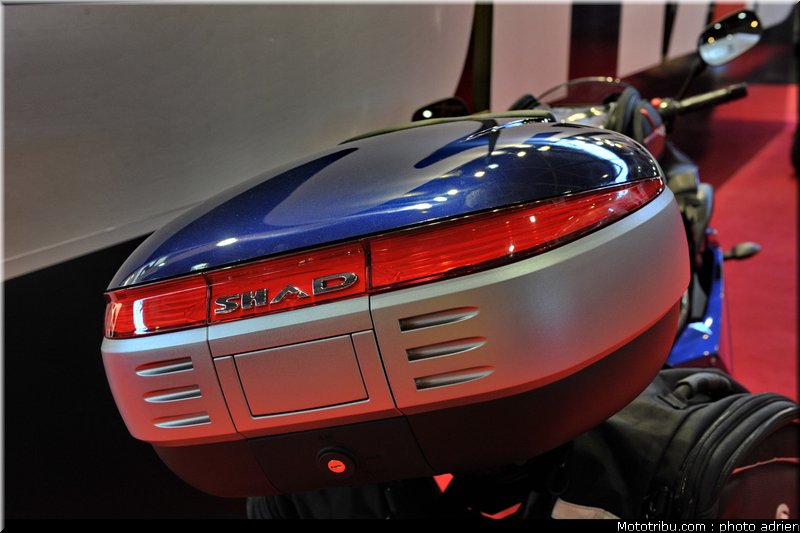 shad_4_jpms_2010_0190