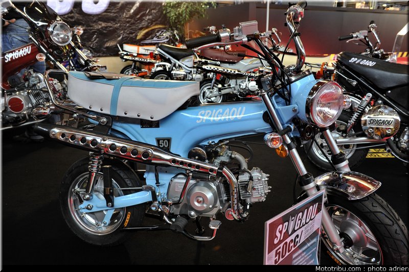 spigaou_2_jpms_2010_0193