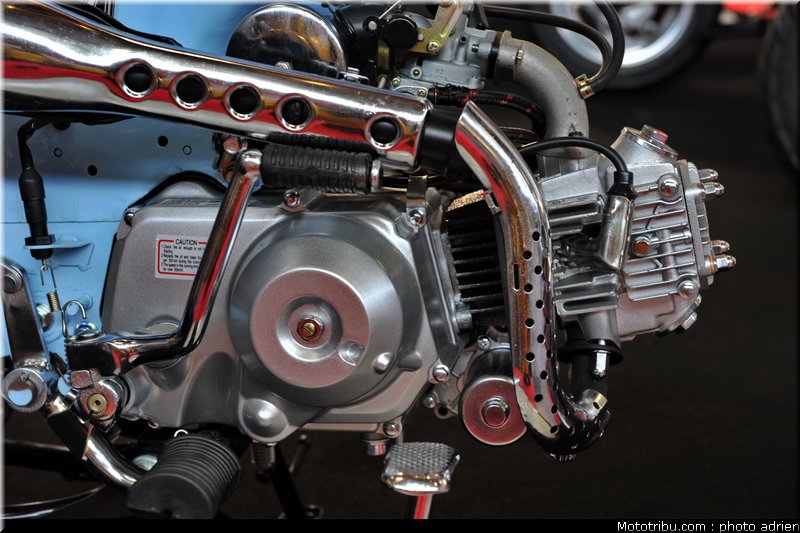 spigaou_3_jpms_2010_0194