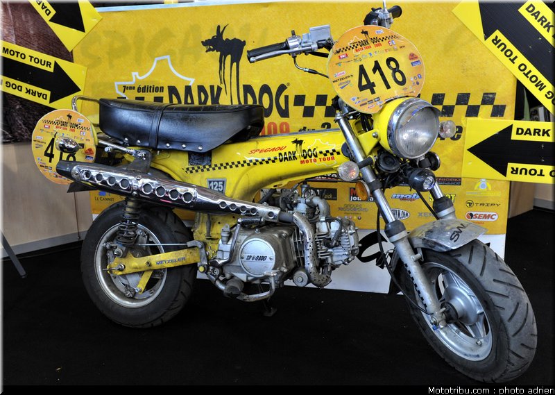 spigaou_4_jpms_2010_0195