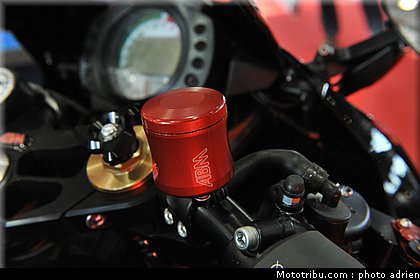 abm_1_jpms_2010_0001.JPG