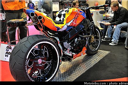 bandit_1_jpms_2010_0010.JPG