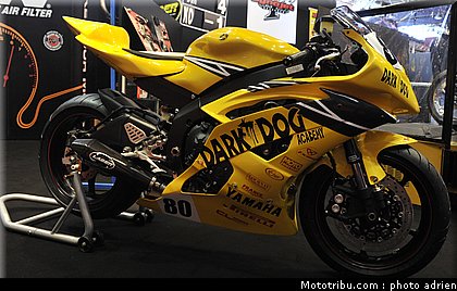 laser_3_jpms_2010_0110.JPG