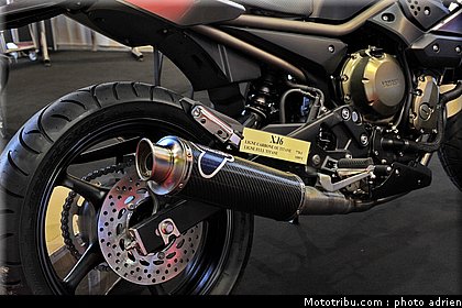 rzemignoni_2_jpms_2010_0162.JPG