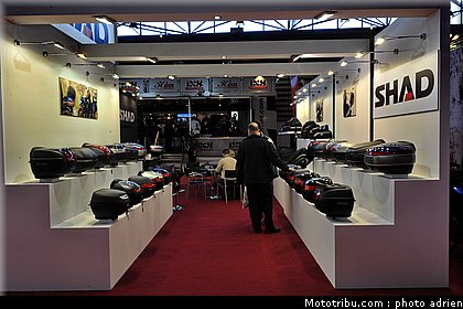 shad_2_jpms_2010_0188.JPG