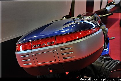 shad_4_jpms_2010_0190.JPG
