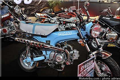 spigaou_2_jpms_2010_0193.JPG