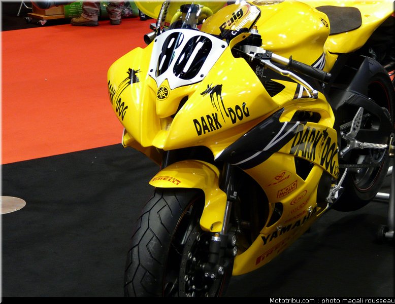 jpms_2010_0029