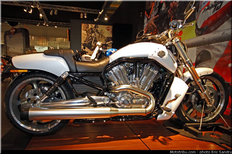 salon_bruxelles_2010_Harley_VRSCF_V-Rod_Muscle_1