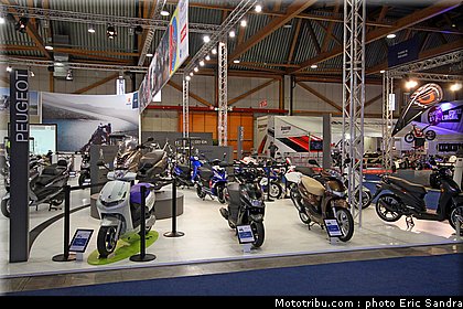 salon_bruxelles_2010_Peugeot.jpg