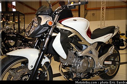 salon_bruxelles_2010_Suzuki_SFV650.jpg