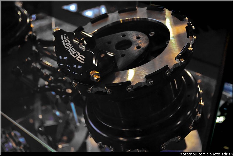 jpms_2011_beringer_3