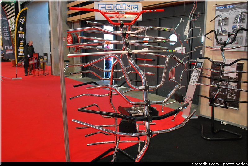 jpms_2011_fehling_1