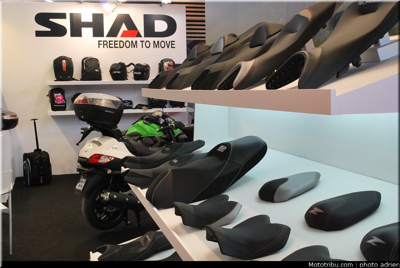jpms_2011_shad