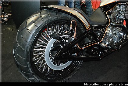 jpms_2011_beringer_2.JPG