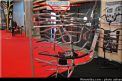 jpms_2011_fehling_1.JPG
