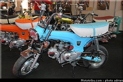 jpms_2011_spigaou_3.JPG