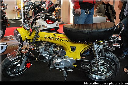 jpms_2011_spigaou_4.JPG
