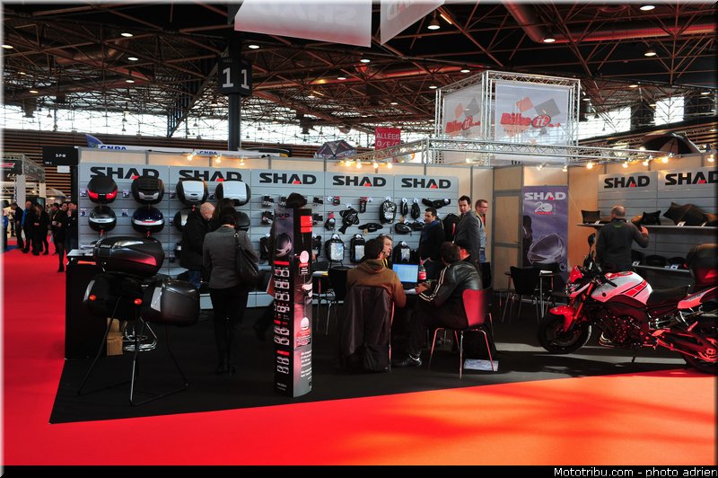shad_001_jpms_2013