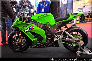 elf_001_jpms_2013.jpg