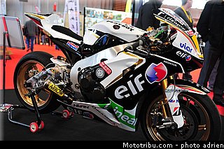 elf_002_jpms_2013.jpg