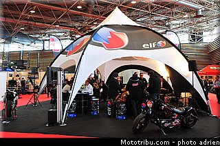 elf_003_jpms_2013.jpg