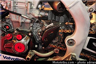 potisek_013_jpms_2013.jpg