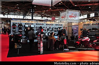 shad_001_jpms_2013.jpg