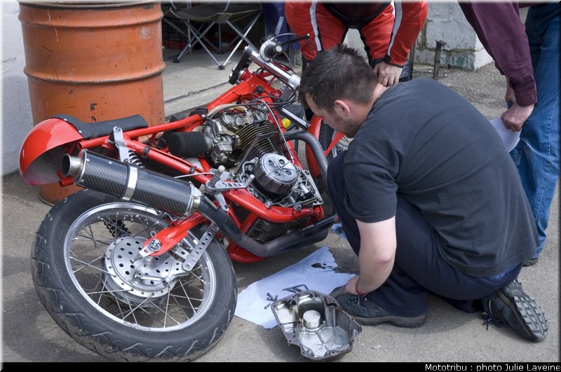 paddock_06