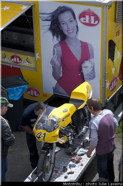 paddock_14