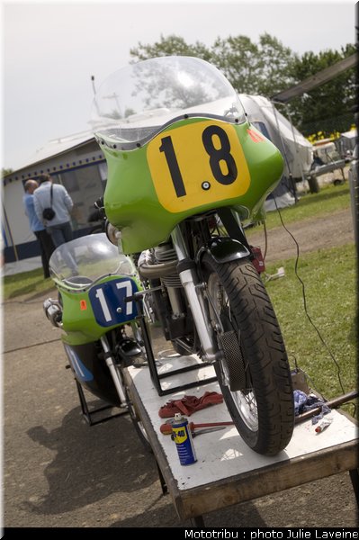 paddock_23