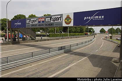 paddock_07.jpg