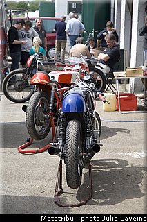 paddock_12.jpg
