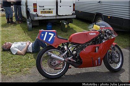 paddock_13.jpg