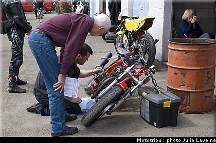 paddock_16.jpg