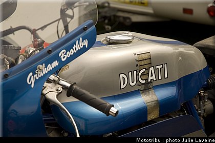 paddock_17.jpg