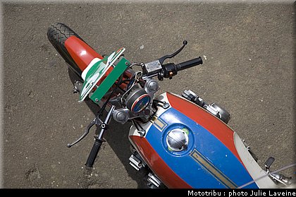 paddock_21.jpg