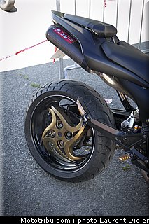iron_bikers_carole_2011_12.jpg