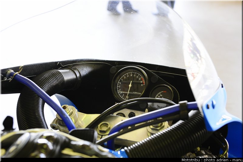 paddock_0004