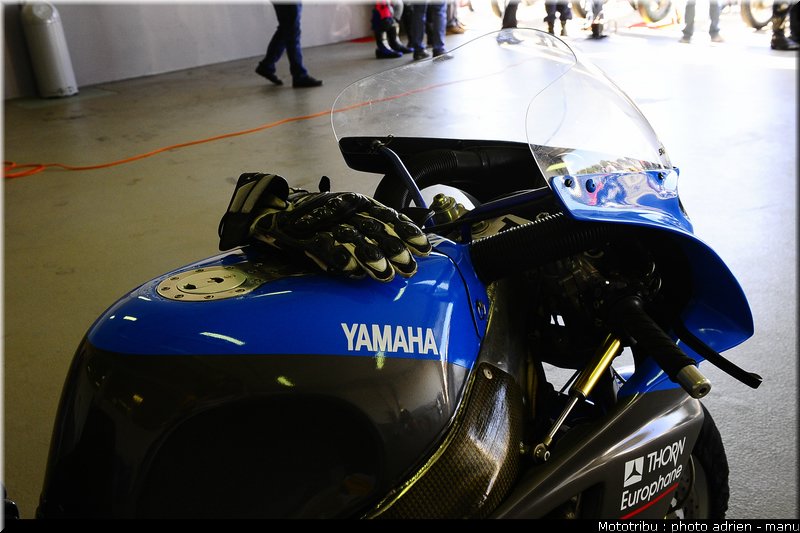 paddock_0005