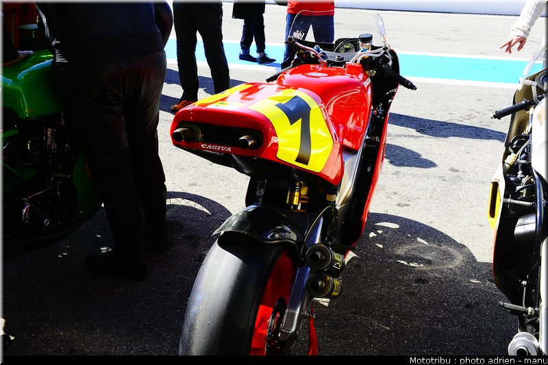 paddock_0007