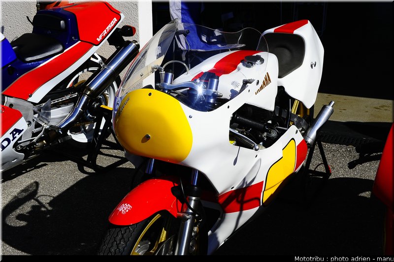 paddock_0010