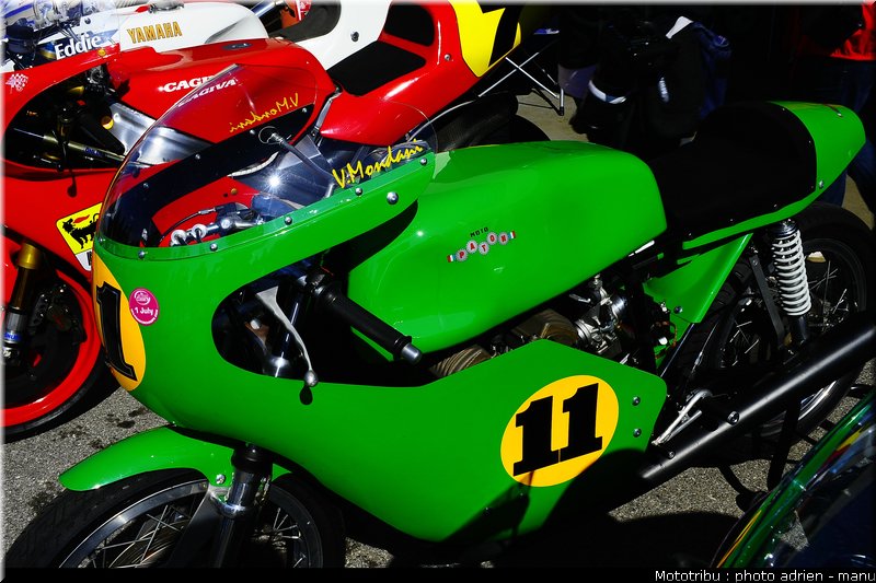 paddock_0012