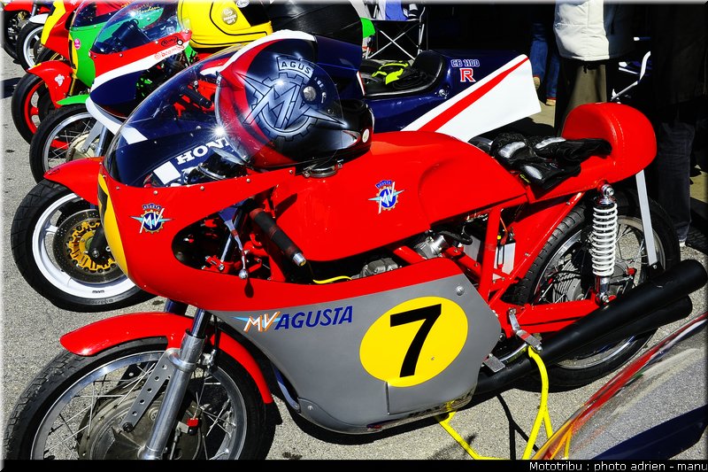 paddock_0013