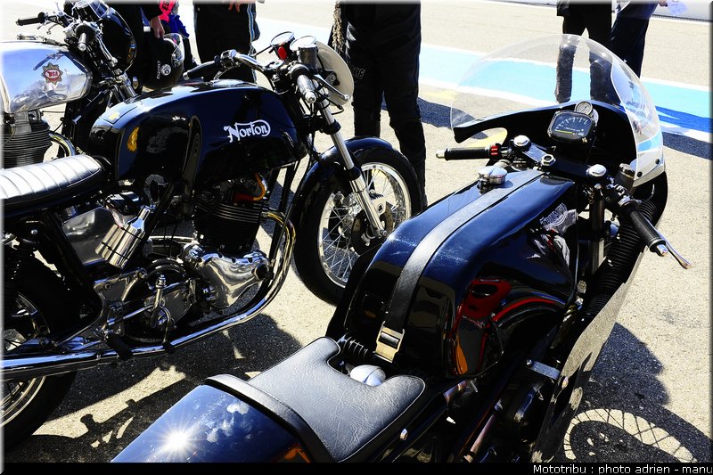 paddock_0016